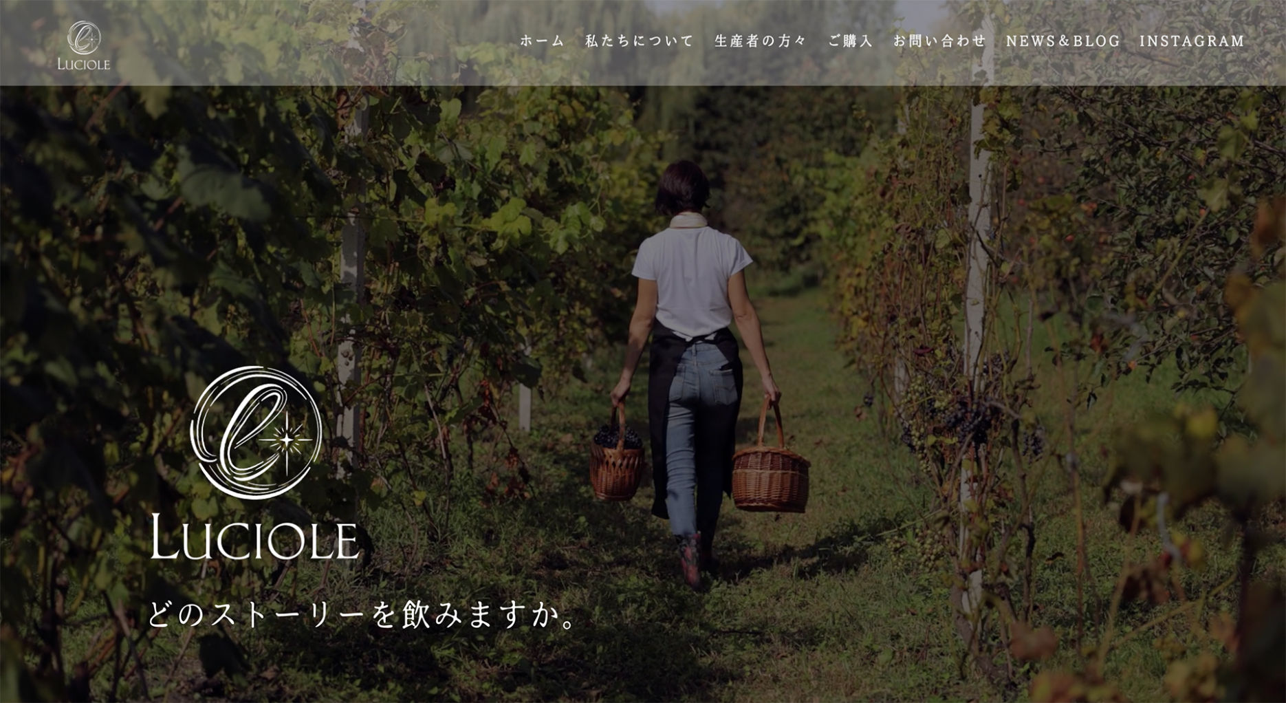 luciole 1 - ホームページ制作事例。仙台市青葉区　ワインインポーター　ルシオール様