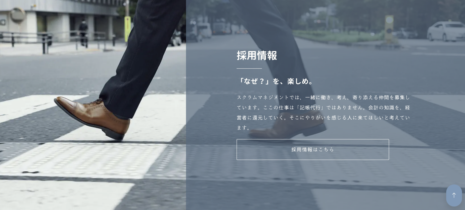 | 仙台のホームページ制作会社です。SEO対策や、おしゃれなWEBサイトはweb design aoiまで。レスポンシブで作成するのでスマートフォン・タブレット用ホームページが無料です